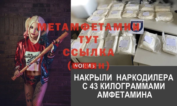 дмт Богданович